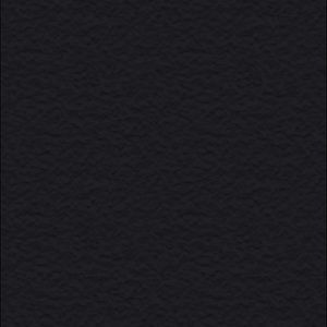 Meet your Posher, Rico